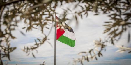 اجتماع وزاري طارئ لـ"التعاون الإسلامي" الاثنين لبحث العدوان الإسرائيلي على الفلسطينيين