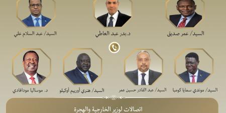 «تعزيز التعاون الثنائي والإقليمي».. وزير الخارجية يجري اتصالات مع عدد من نظرائه الأفارقة