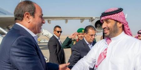 تعزيز العلاقات الاقتصادية تتصدر مباحثات السيسي وولي العهد