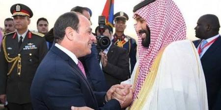 مصر والسعودية تشددان على ضرورة الإسراع في إدخال المساعدات الإنسانية إلى غزة دون عوائق