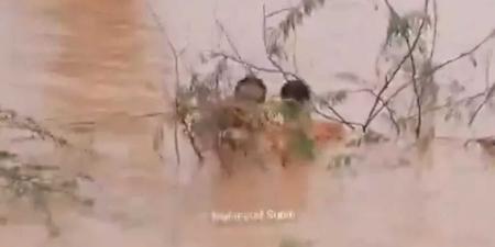 شاهد بالفيديو..فنان عماني يكتب ملحمة شجاعة في وادي حضرموت بإنقاذه مواطنا يمنيا من السبول