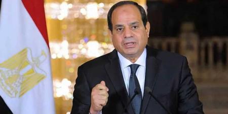 السيسي: دعم مصر للمبادرات السعودية يعكس التزامنا بالقضية الفلسطينية