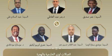 مصر.. وزير الخارجية يُجري اتصالات مع عدد من نظرائه في الدول الإفريقية لتعزيز التعاون الثنائي والإقليمي