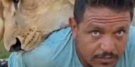 النيابة العامة الليبية تأمر بحبس شخص أطلق أسدًا على آخرين بقصد السخرية والاستهزاء