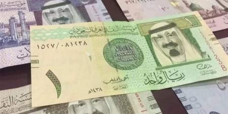 الريال السعودى يسجل 12.90 جنيه فى البنك الاهلى اليوم الخميس 21 اغسطس 2025