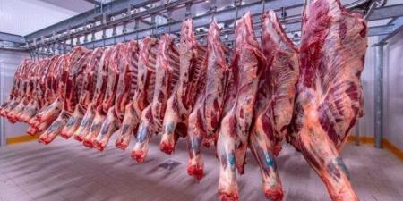الكندوز بـ 420 جنيها.. أسعار اللحوم اليوم الخميس 21 أغسطس 2025