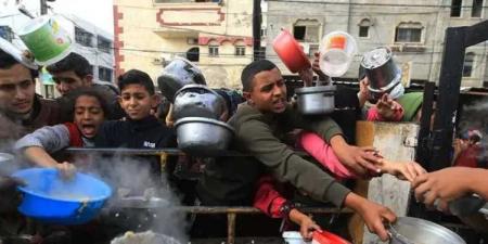 التعاون الخليجي يندد بسياسات التجويع الإسرائيلية ويدعو لتحرك دولي عاجل لفتح معابر غزة