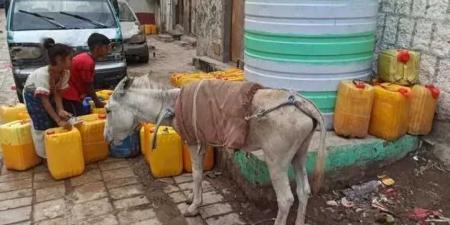 أزمة مياه غير مسبوقة تضرب حضرموت: 3 أسابيع بلا قطرة ماء في حارات بأكملها!
