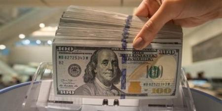 سعر الدولار ينخفض بأكثر من 5% أمام الجنيه خلال آخر 9 أشهر بالبنك المركزي