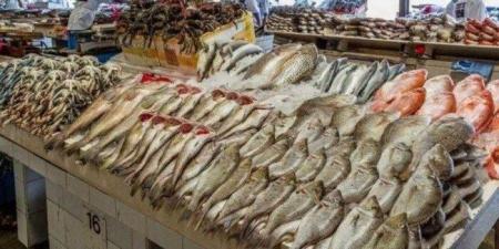 أسعار السمك والجمبري اليوم الجمعة في الأسواق.. الماكريل بـ 180 جنيها