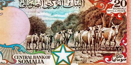أسعار الشلن الصومالي مقابل الجنيه المصري بداية تعاملات اليوم الجمعة 22 - 8- 2025