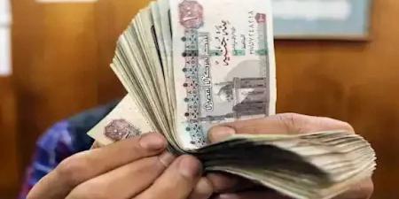 موعد توزيع منحة المولد النبوي 2025 للعمالة المصرية الغير المنتظمة بعد زيادتها