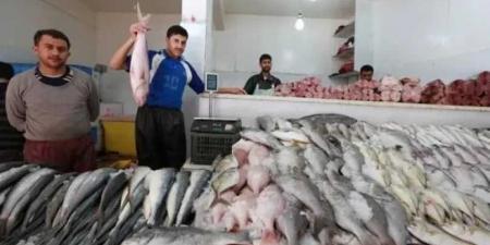 البلطى الأسوانى بـ80 جنيهًا للكيلو..أسعار الأسماك بالسوق المصرى