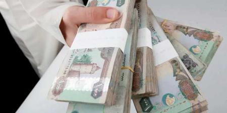 أسعار الدرهم الإماراتي مقابل الجنيه المصري بداية تعاملات اليوم السبت 23 - 8- 2025