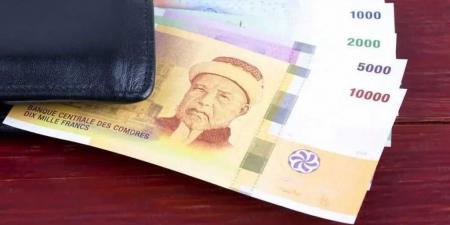 أسعار الفرنك القمري مقابل الجنيه المصري بداية تعاملات اليوم السبت 23 - 8- 2025