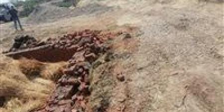 الغربية والمنيا تواصلان حملات إزالة التعديات في إطار الموجة الـ27 لحماية الرقعة الزراعية|تفاصيل