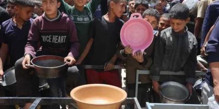 شهداء الجوع في غزة يتزايدون: 289 روحًا أزهقها التجويع الإسرائيلي الممنهج