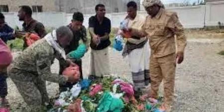 ”السلطة تُعلن الحرب.. والشعب يُطلق الحجارة: معركة القات في سقطرى تشتعل”