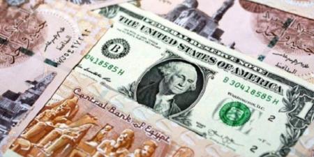 تعرف على سعر الدولار في مصر اليوم الأحد 24 أغسطس 2025