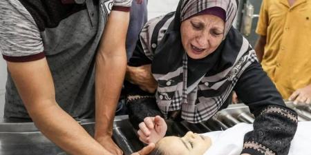غزة | الإبادة مستمرة لليوم الـ 688 على التوالي