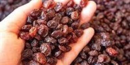 الزبيب.. فوائده وأنواعه بين الطب الشعبي والدراسات الحديثة