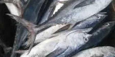 البلطي بـ 82 جنيه والكابوريا بـ 160 جنيه .. تعرف على أسعار اليوم بالسوق المصرى