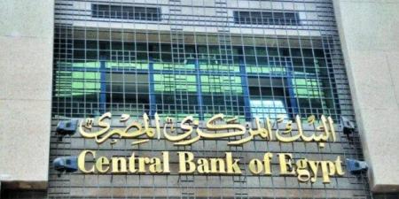 «فيتش» تتوقع 2% خفضا في الفائدة خلال اجتماع المركزي المصري المقبل