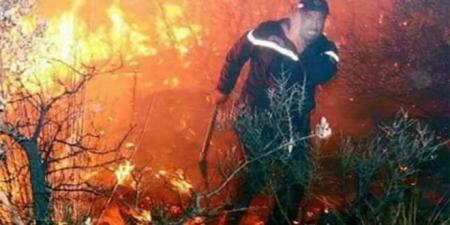 الحماية المدنية: 113 تدخلاً لإطفاء حرائق خلال ال24 ساعة الماضية..