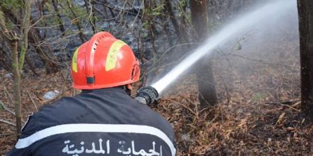 الحماية المدنية: 113 تدخلا لإطفاء حرائق خلال ال 24 ساعة الماضية