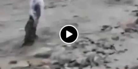 كأنه في الأفلام.. السيول تجرف مواطنًا أمام أعين المصورين.. وفقدان جثته (فيديو)