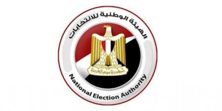 الوطنية للانتخابات: «البعثات الدبلوماسية تستقبل الناخبين بالخارج في جولة إعادة الشيوخ بانتظام»