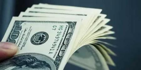 ارتفاع سعر الدولار أمام الجنيه المصري في نهاية تعاملات اليوم الاثنين 25-8-2025
