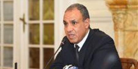 وزير الخارجية: مصر صمام أمان للقضية الفلسطينية واستهداف سفاراتها قلب للحقائق واعتداء على السيادة