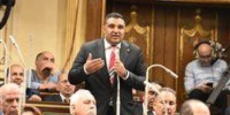 النائب محمود عصام يطالب وزير المالية بكشف آليات تحديد وتحصيل ضرائب صناع المحتوى