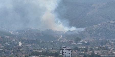 شهيد بغارة إسرائيلية في قضاء بنت جبيل جنوب لبنان