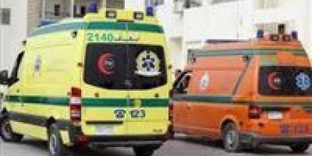 بسبب خلافات الجيرة.. إصابه 3 سيدات بطلق ناري خرطوش في مشاجرة بالفيوم