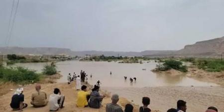 أمطار غزيرة تتسبب بخسائر بشرية ومادية في حضرموت: وفاة شاب ونفوق 160 رأس غنم