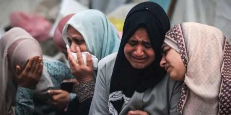 غزة: 75 شهيداً و370 جريحا خلال 24 ساعة وأزمة غير مسبوقة في بنوك الدم بسبب سوء التغذية