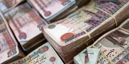 استثمر 100 ألف جنيه وأعرف كم العائد مع شهادة الادخار الثلاثية من بنك الإمارات دبي الوطني مصر