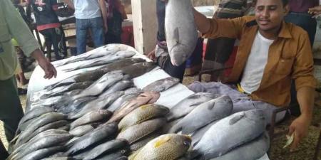أسعار الأسماك اليوم الثلاثاء 26-8-2025 فى مصر