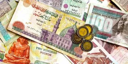 أرقام صادمة .. أسعار العملات العربية مقابل الجنيه المصري بداية تعاملات اليوم الأربعاء 27 - 8- 2025