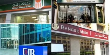 فرصة ذهبية للمستثمرين.. أعلى عوائد شهادات الادخار في البنوك المصرية لعام 2025