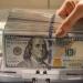 سعر الدولار ينخفض بأكثر من 5% أمام الجنيه خلال آخر 9 أشهر بالبنك المركزي