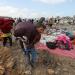 "أونروا": عدد كبير من أطفال غزة تعرضوا للتشريد المتكرر منذ بدء الحرب