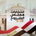 عاجل.. بدء تصويت المصريين بالخارج في جولة الإعادة بانتخابات مجلس الشيوخ