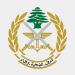 العثور على صواعق غير منفجرة من مخلفات العدوان الإسرائيلي في باتوليه والجيش يعمل على تفكيكها
