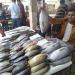 أسعار الأسماك اليوم الثلاثاء 26-8-2025 فى مصر