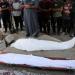 رصاص الاحتلال يغتال 4 فلسطينيين من منتظري المساعدات شمال قطاع غزة