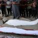 استشهاد 4 فلسطينيين من منتظري المساعدات برصاص الاحتلال في خان يونس