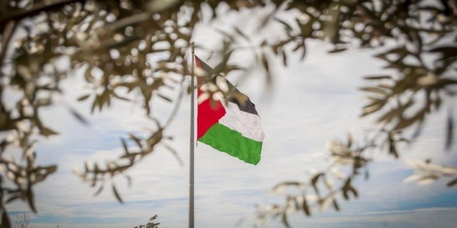 اجتماع وزاري طارئ لـ"التعاون الإسلامي" الاثنين لبحث العدوان الإسرائيلي على الفلسطينيين